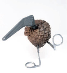 Nicolas DE BEER (1949-2023), chercheur en pratiques narratives. Nicolas DE BEER (1949-2023), chercheur en pratiques narratives.