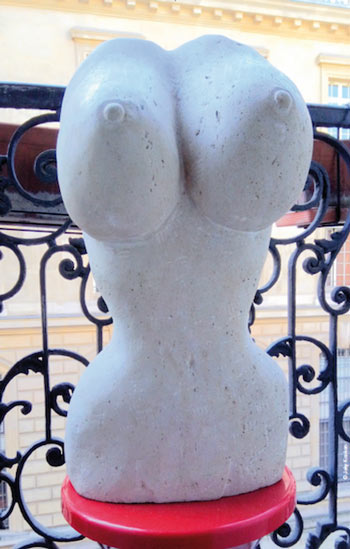 Mona AYOUN, l'histoire de mes seins Mona AYOUN, l'histoire de mes seins