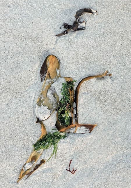 Cothérapie avec Romain: faire émerger les relations sécures. Revue Hypnose et Thérapies Brèves 77. Cothérapie avec Romain: faire émerger les relations sécures. Revue Hypnose et Thérapies Brèves 77.