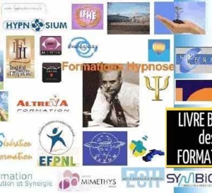 Formations Hypnose, Formations en Hypnose Ericksonienne, tableau synoptique des différents cursus de formation en hypnose