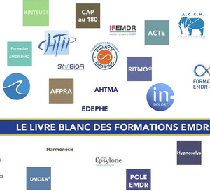 Le Livre Blanc des Formations EMDR en France.