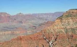 De la nostalgie de la mélancolie.Revue de Presse Psy