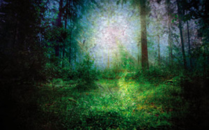 Le frisbee écrit. Revue Hypnose Thérapies Brèves 67