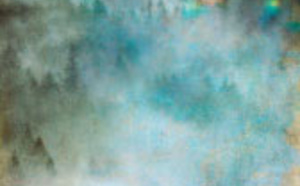 Se libérer du paradoxe. Du Zen à l'école de Palo Alto