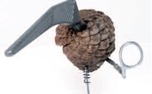 Nicolas DE BEER (1949-2023),  chercheur en pratiques narratives.