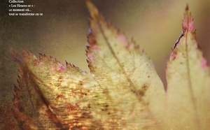 Comment réussir à échouer... En tant que thérapeute ?