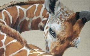 Le témoin intérieur et la honte. Tout le monde est mieux que moi. Revue Hypnose et Thérapies Brèves 78.