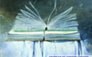 Constellation ericksonienne au Mexique. Cecilia Fabre