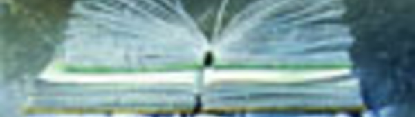 Constellation ericksonienne au Mexique. Cecilia Fabre